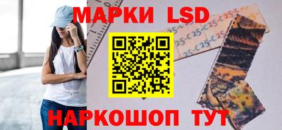 ГАЛЛЮЦИНОГЕННЫЕ ГРИБЫ Сланцы